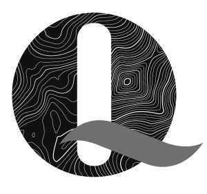 Q group logo