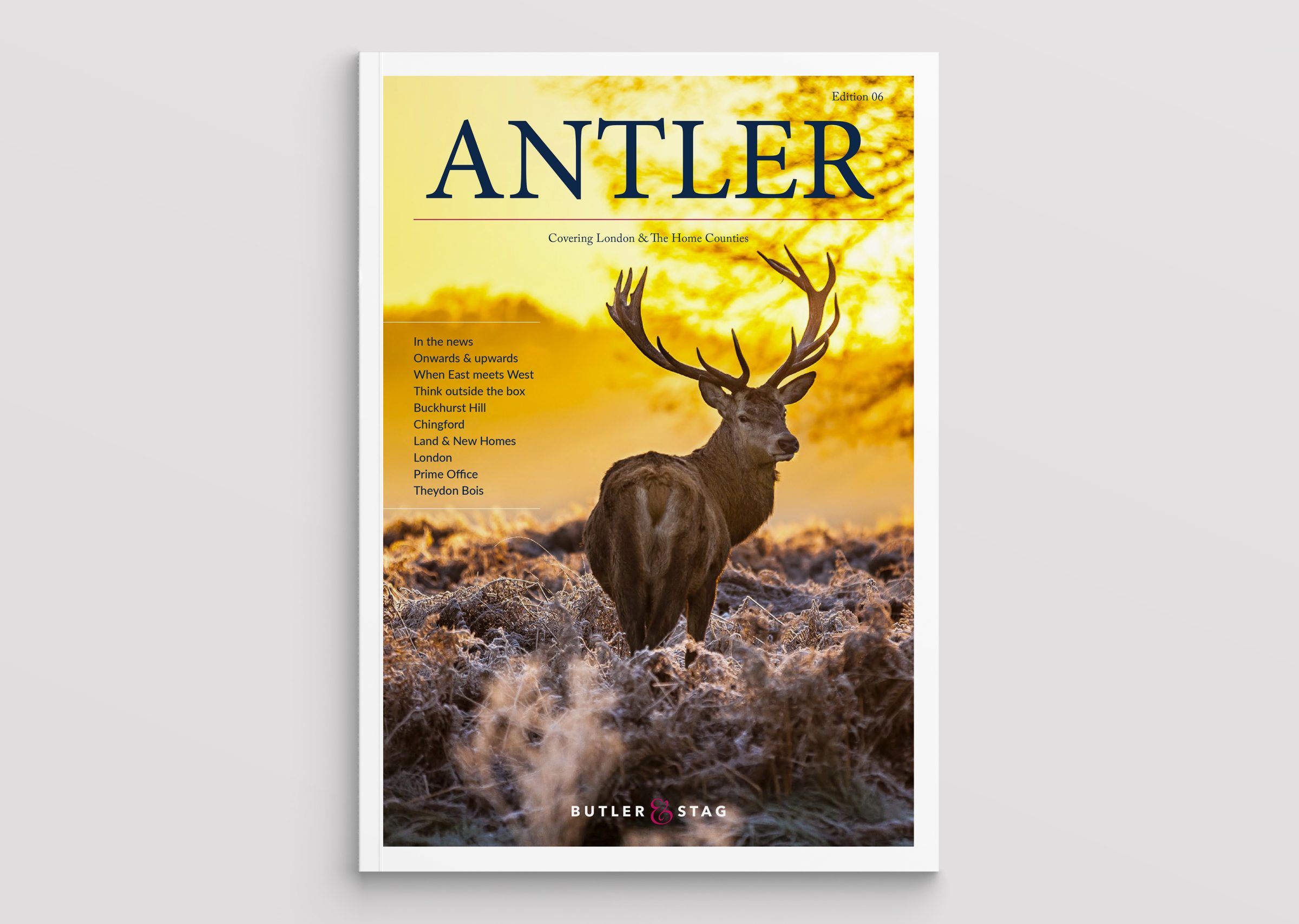 Antler magazine cover design